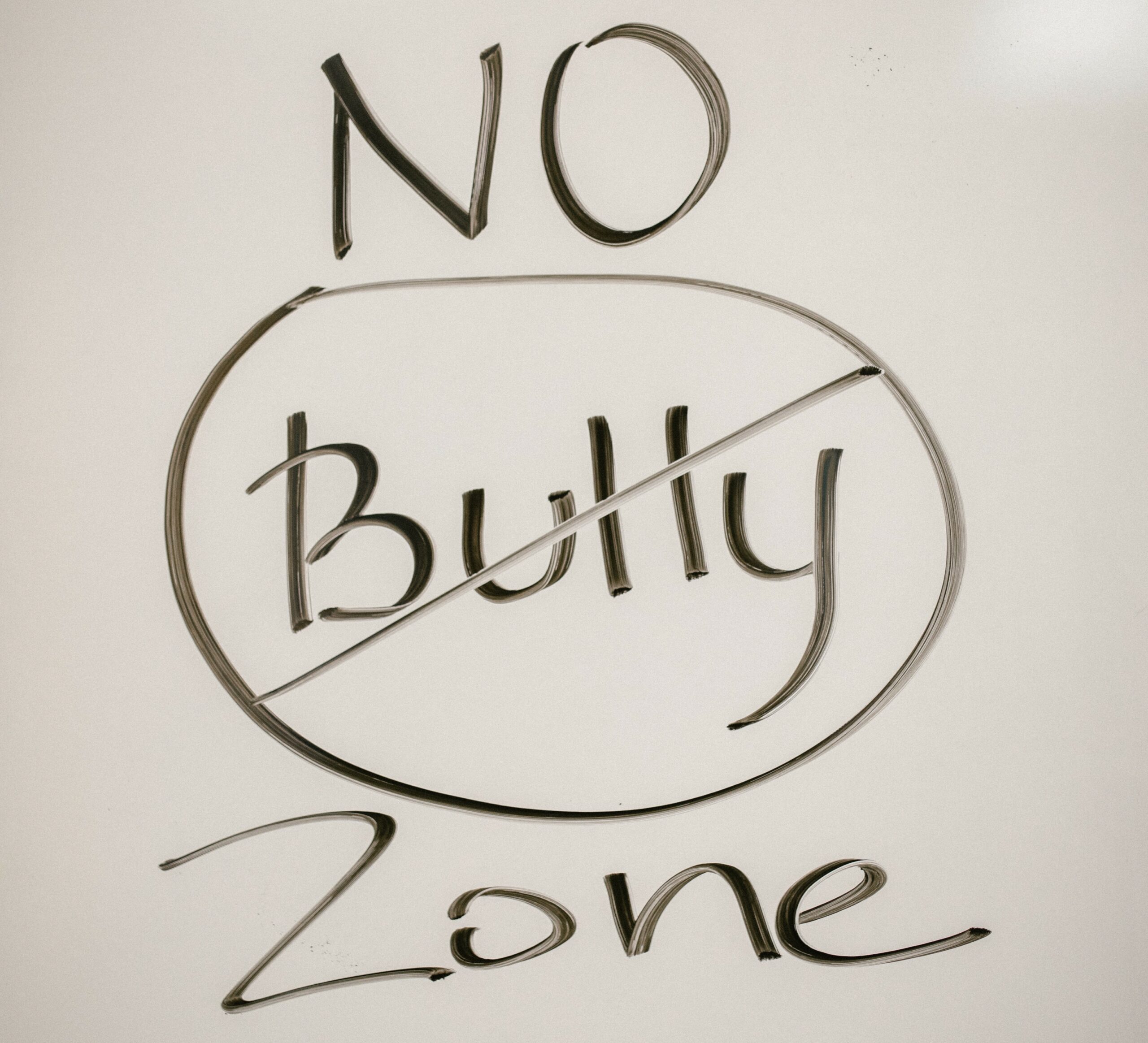 no_bully_zone